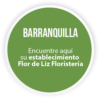 DISEÑAR:  BARRANQUILLA   Encuentre aquí su establecimiento Flor de Liz Floristería