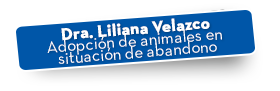 Dra. Liliana Velazco Adopción de animales en situación de abandono