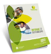 Informe de Sostenibilidad 2017