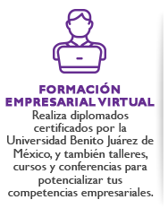 Formación Empresarial Virtual