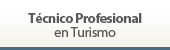 Técnico Profesional en Turismo