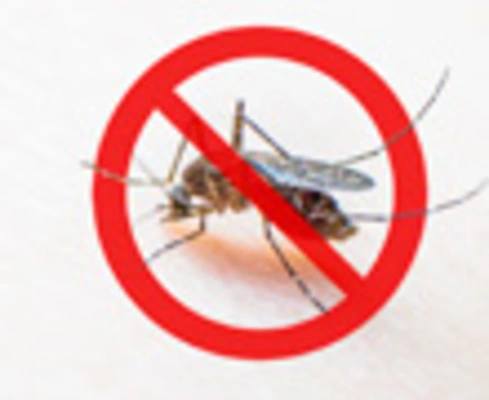 Córtale las alas al dengue: Conoce cómo prevenirlo