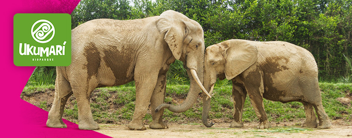 La aventura te espera en el Bioparque Ukumarí